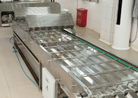 La banda transportadora de alimentos semiautomática hizo un transportador de enfriamiento de clasificación de acero inoxidable