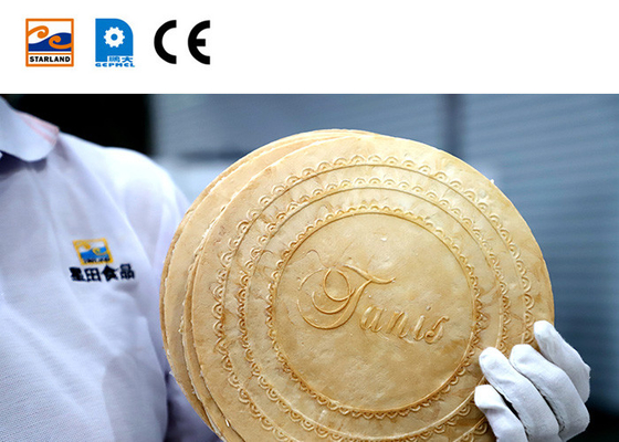 Máquinas avanzadas para la elaboración de alimentos para la línea de producción
