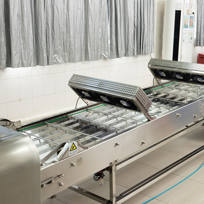 Accesorios CE para máquinas transportadoras de refrigeración Apoyo técnico por vídeo