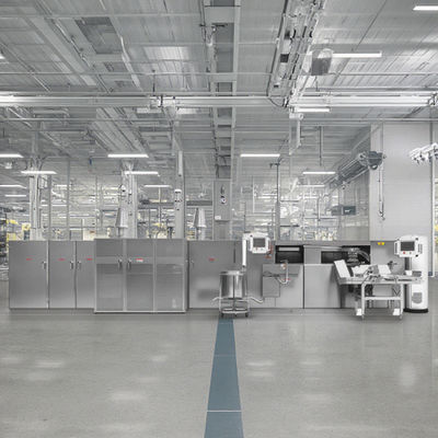 Línea de producción de rollos de huevo con calefacción a gas PLC 1200/Hora de producción