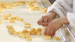 Shell Production Line agria automática